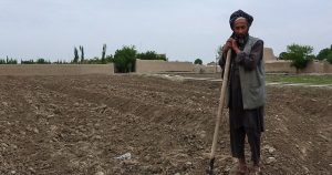 غور در یک قدمی فاجعه؛ خشک‌سالی در این ولایت بیداد می‌کند