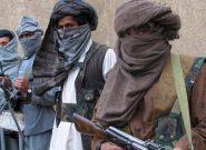 مسئول حملات چریکی طالبان در غوریان هرات کشته شد