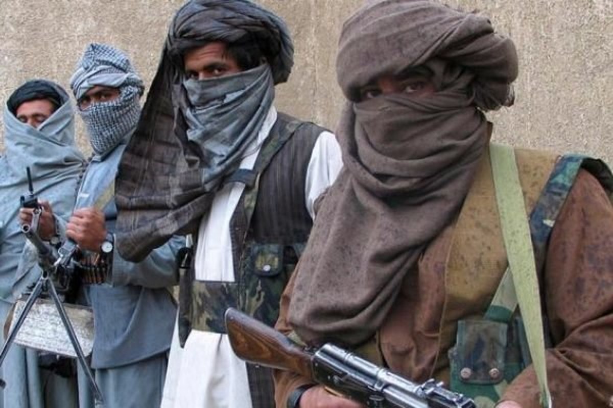 مسئول حملات چریکی طالبان در غوریان هرات کشته شد
