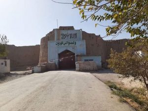 دفع حمله تهاجمی طالبان در هرات/20 جنگجوی طالب کشته شدند