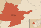 ترور دو تن از باشندگان هرات/طالبان در حال پیگیری قضیه