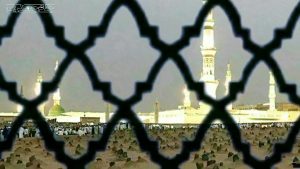 تلاش پیامبر برای خلق وحدت، یک مبارزه جهانی بر علیه جهل و استبداد بود