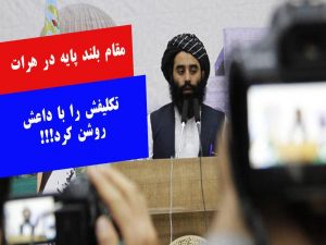 مولوی عمار مهاجر، معاون والی هرات داعش را خوارج و تروریست خواند!