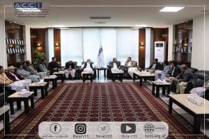 دیدار برخی تاجران با مقامات اتاق تجارت و صنایع هرات/نرخ تعرفه گمرکی برای تاجران بلند است