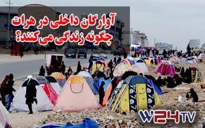 تلویزیون وطن24 – گذری بر زندگی آوارگان داخلی در هرات و آینده آنان