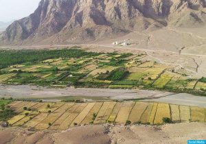 سارق 21 راس مواشی در فراه دستگیر شد