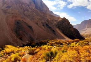 خزانِ ولسوالی زیبایی مرغاب ولایت غور
