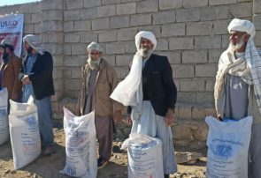برای هزار کشاورز در فراه گندم اصلاح شده توزیع شد