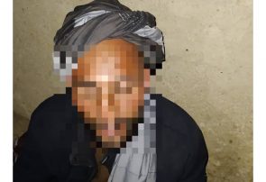 فردی در هرات با کارت جعلی نیروهای امارت اسلامی بازداشت شد