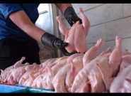 ممنوعیت واردات گوشت مرغ و دو برابر شدن قیمت آن در هرات