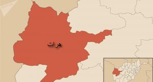 در درگیری بین دو خانواده در هرات 8 تن زخمی شدند