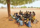 بحران بی سابقه افزایش مواد غذایی در افریقا