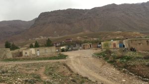 گزارش‌ها از درگیری بر سر فروش گیاه هوشین در پرچمن فراه بی‌اساس است