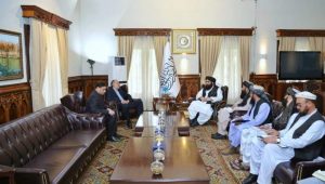 ایران جای گزین کشت کوکنار را به کشاورزان افغان ارائه می‌کند