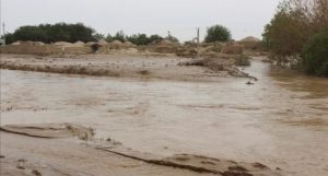 بارندگی‌ها در غور خسارات بلند برجا گذاشت