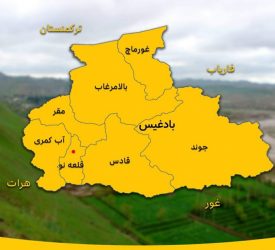 قتل مرموز یک خانم در بادغیس