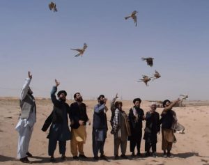 شکار پرندگان و حیوانات وحش در غور ممنوع اعلام شد