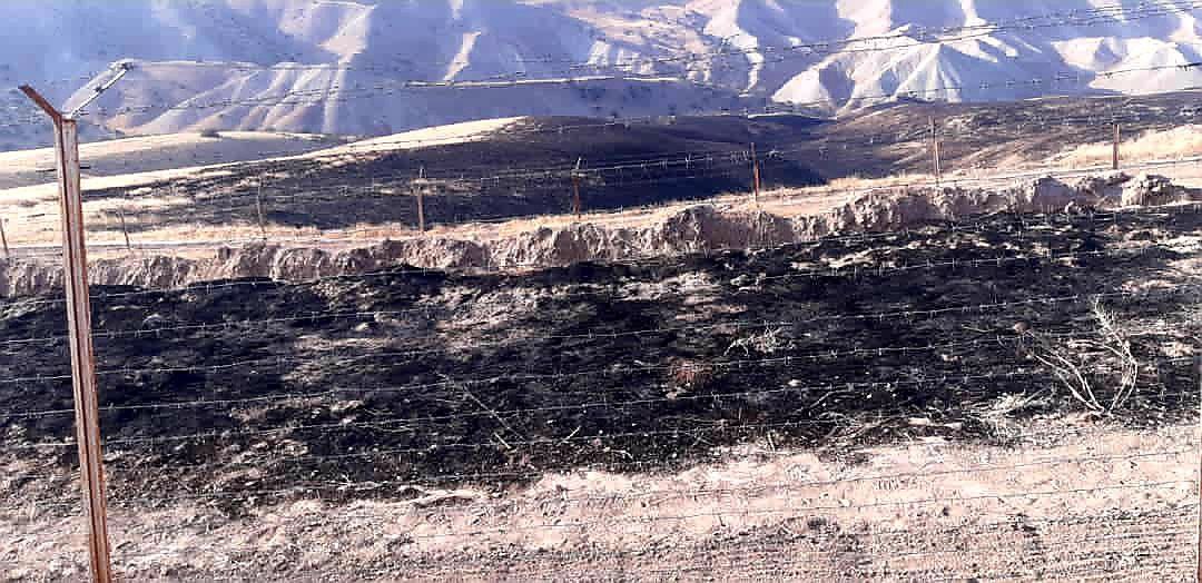 دو تن در پیوند آتش زدن جنگلات در بادغیس دستگیر شدند