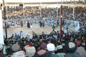 پایان مسابقات کشتی؛ هرات مقام اول را کسب کرد