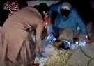 انحراف موتری از مسیر در هرات ۲ کشته و ۳ زخمی برجای گذاشت