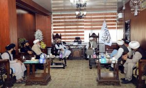 بزرگان بادغیس چالش‌های این ولایت را با مسئولان مرکزی شریک کردند