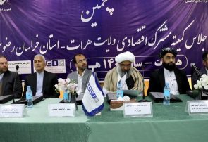 گامِ به سویِ رشد تجارت؛ پنجمین نشست اقتصادی میان ایران و افغانستان در هرات برگزار شد