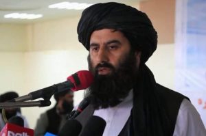 امارت اسلامی در حال کار بر روی طرح آموزشی جدید برای دختران است