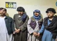 یک باند چهار نفره سرقت در ولایت هرات متلاشی شد