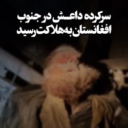 سرکرده داعش در شبه قاره هند در جنوب افغانستان به هلاکت رسید