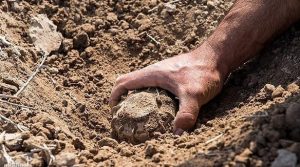انفجار گلوله‌ی به‌جامانده از جنگ در فاریاب جان یک کودک را گرفت