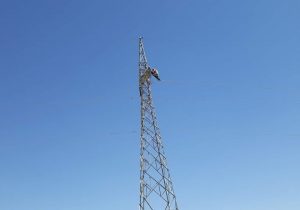 گسترش ساحه برقی در ولایت بادغیس؛ دو روستای بزرگ این ولایت برق دار شدند