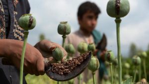 دو کارخانه مواد مخدر کشف و از بین برده شد و 18 تن هم بازداشت شده‌اند