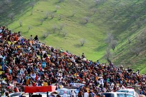 پسته لیق بادغیس سرسبز و طروات خاص خود را نمایان می‌کند