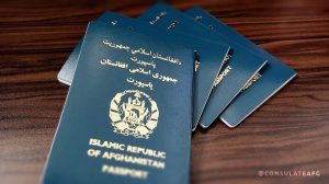 افزایش صفحات جعلی در فضای مجازی بنام ریاست پاسپورت؛ دو تن در هرات بازداشت شد‌اند