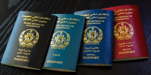 افزایش توزیع پاسپورت در هرات؛ 350 جلد در روز توزیع می‌شود