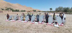 برای 100 خانواده مالدار در بادغیس مرغ تخمی توزیع شد