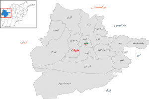 یک نوجوان در پی حادثه ترافیکی در هرات جان باخت