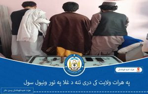در دو هفته گذشته؛ 18 تن متهم به انجام جرایم جنایی در هرات دستگیر شدند