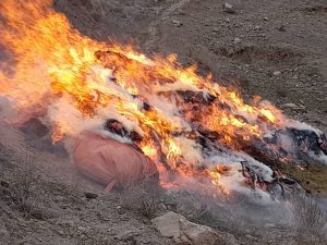 بازداشت چهار تن و آتش زدن سه هزار کیلو گرام مواد مخدر توسط پولیس بادغیس