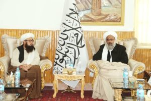 پروسه تداوی معتادان تا محو کامل اعتیاد در هرات ادامه دارد
