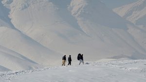 برف و سرما در سراسر کشور 20 کشته گرفت