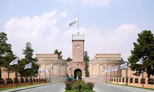 فعالان هرات: اعتماد جهان به امارت اسلامی در حال افزایش است