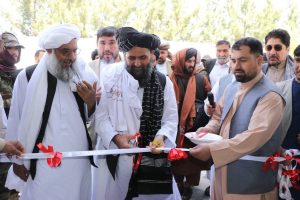 سفر ملا برادر به هرات؛ یک کارخانه دواسازی به ارزش 16 میلیون دالر افتتاح شد