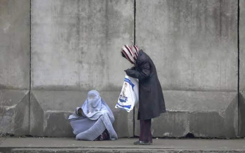 350 تکدیگر از شهر هرات جمعآوری شدند