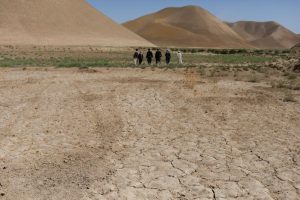 محیط زیست منحصر به فرد افغانستان در معرض تهدید جدی قرار دارد