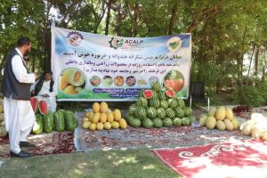 افزایش حاصلات میوه در هرات؛ جشن میوه برای حمایت از کشاورزان برگزار شد