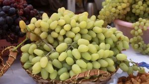 ویدئو: جشنواره انگور هرات