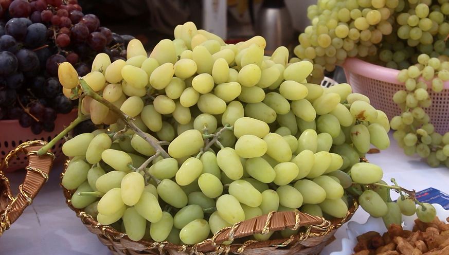 ویدئو: جشنواره انگور هرات