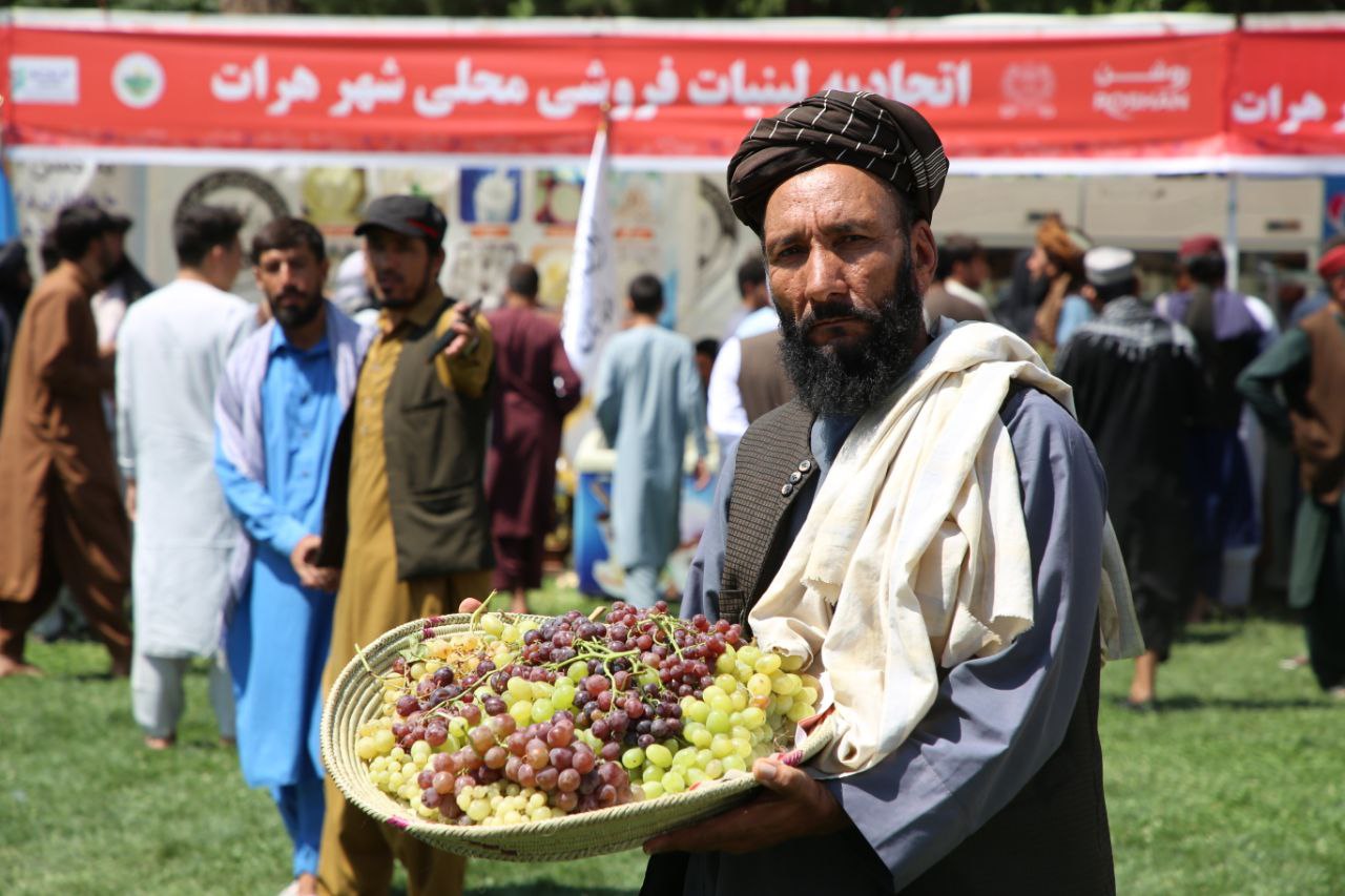 چند راه کار برای کشاورزان افغانستان که پول پارو کنند!