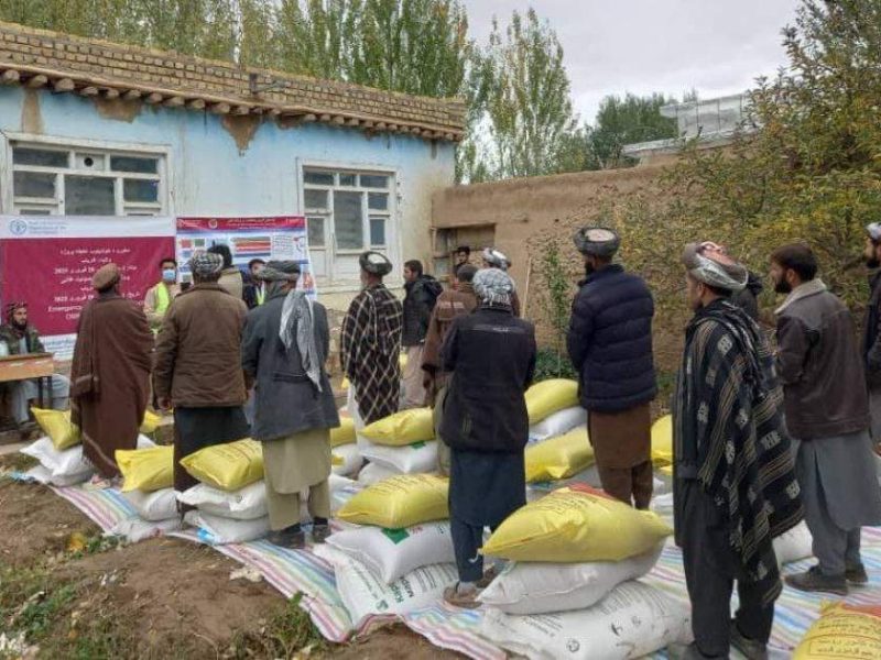 توزیع گندم اصلاحشده و کود کیمیاوی برای ۱۹ هزار دهقان در فاریاب آغاز شد